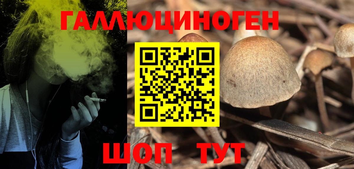 Галлюциногенные грибы Magic Shrooms Каменск-Уральский